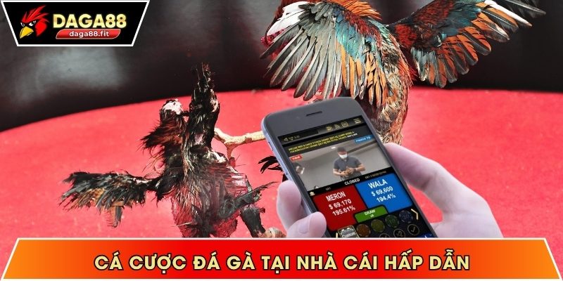 Cá cược đá gà